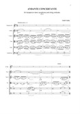 Andante Concertante for Trumpet (or Tenor Saxophone) and String Orchestra